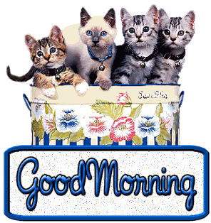 Good morning -- Cute Kittens