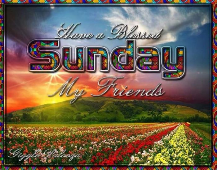 Have a Blessed Sunday My Friends