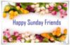 Happy Sunday Friends -- Flowers