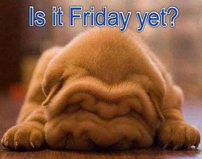 Is it Friday yet?