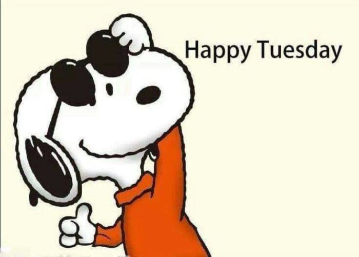 Happy Tuesday -- Snoopy :: Tuesday :: MyNiceProfile.com