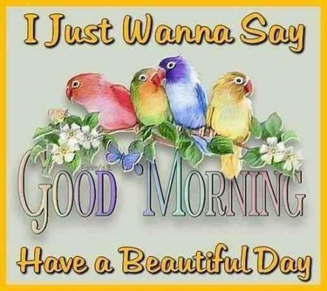 I Just Wanna Say: Good Morning. Have A Beautiful Day!