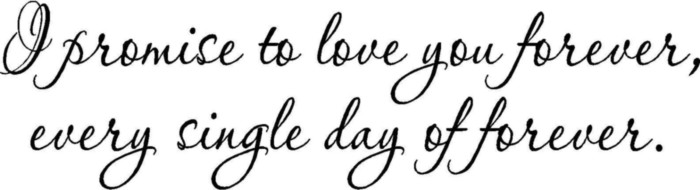 I promise to love you forever, every single day of forever.