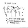 I love you -- Anime Cats