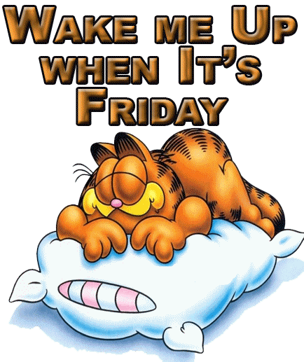Wake me Up when It's Friday -- Garfield