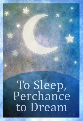 To Sleep Perchance To Dream