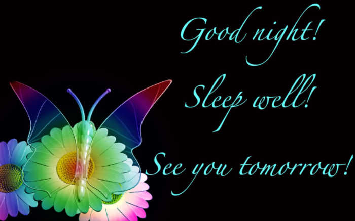 Good Night! Sleep Well! See You Tomorrow!