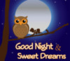 Good Night & Sweet Dreams