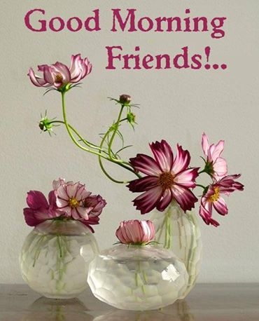 Good morning Friends! -- Flowers