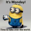 It's Monday! -- Minion