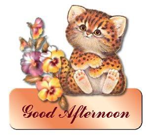 Good Afternoon -- Cute Kitten