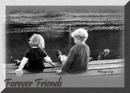 Forever Friends