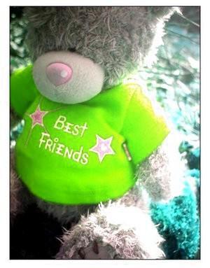 Best Friends -- Teddy Bear