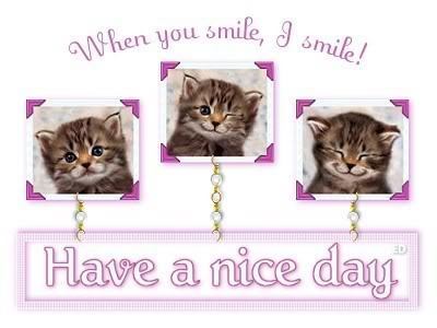 Have a Nice Day! Smile