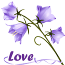Love -- Flowers