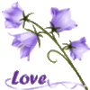 Love -- Flowers