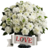 Love -- White Flowers