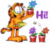 Hi! -- Garfield
