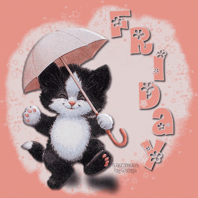 Friday -- Happy cat