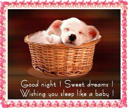 Good Night Sweet Dreams