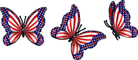 USA colors butterflies
