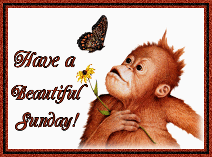 Have a Beautiful Sunday!