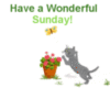 Have A Wonderful Sunday! -- Cute Kitten