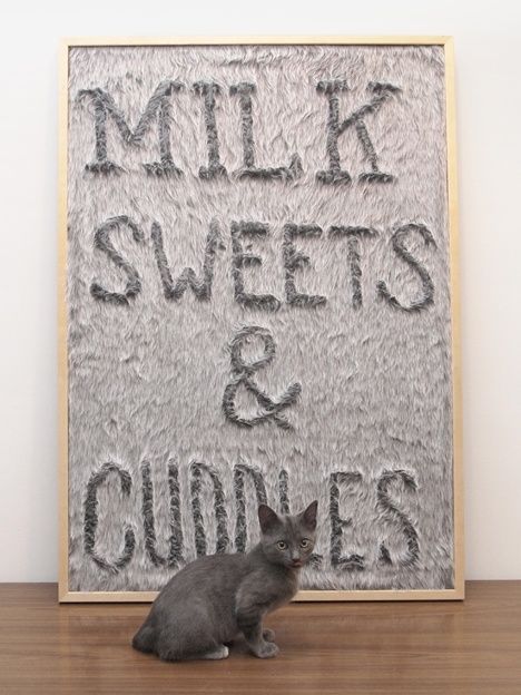 Milk Sweets & Cuddles