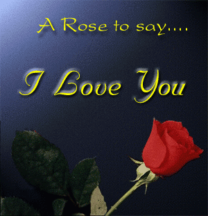 A Rose to say... I Love You