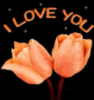 I Love You  -- Flowers