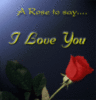 A Rose to say... I Love You