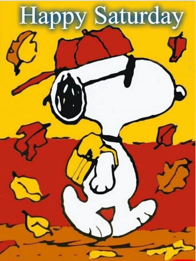 Happy Sunday -- Snoopy