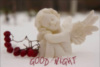 Good Night -- Angel