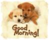 Good Morning! -- Cute Puppies