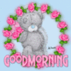 Good morning -- Cute Teddy Bear