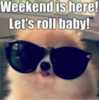 Weekend is Here! Let's roll baby!