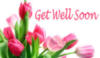 Get Well Soon -- Flowers