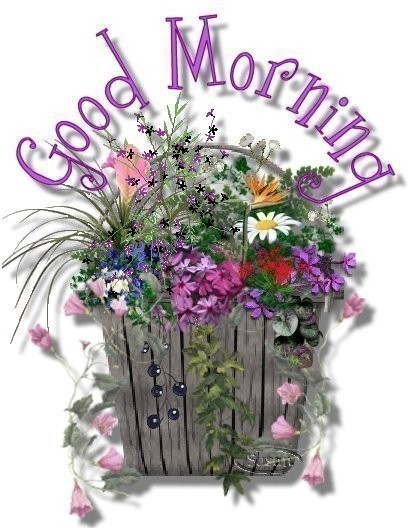 Good Morning -- Flowers