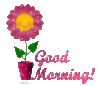 Good Morning! -- Pink Flower