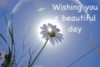 Wishing you a beautiful day
