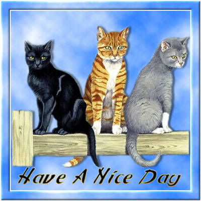 Have a Nice Day -- Cats
