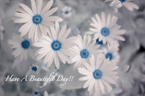 Have A Beautiful Day!