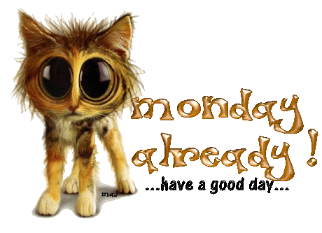 Monday Already! Have a good day!