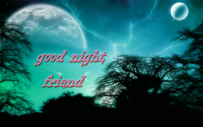 Good Night Friend