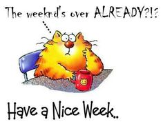 Have a Nice Week -- Cat
