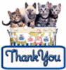 Thank You -- Kittens