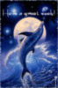 Have a Great Week! -- Dolphin and Moon