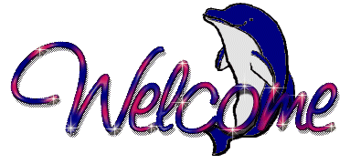 Welcome -- Dolphin