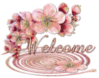 Welcome -- Pink Flowers