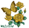 Welcome -- Golden Flowers and Butterfly